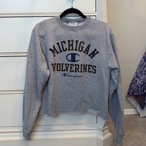 University of Michigan Champion longsleeve